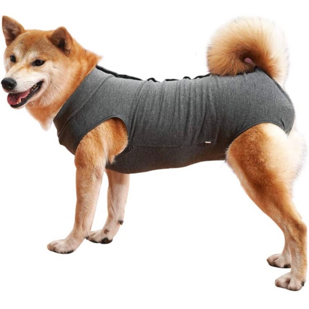 Dog Recovery body suit
